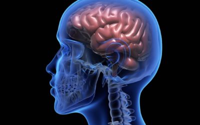 Brain Health